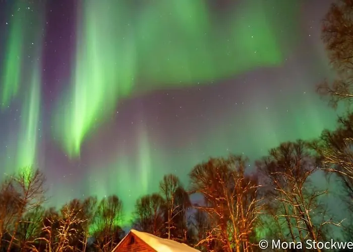 Susitna River Lodging, Suites