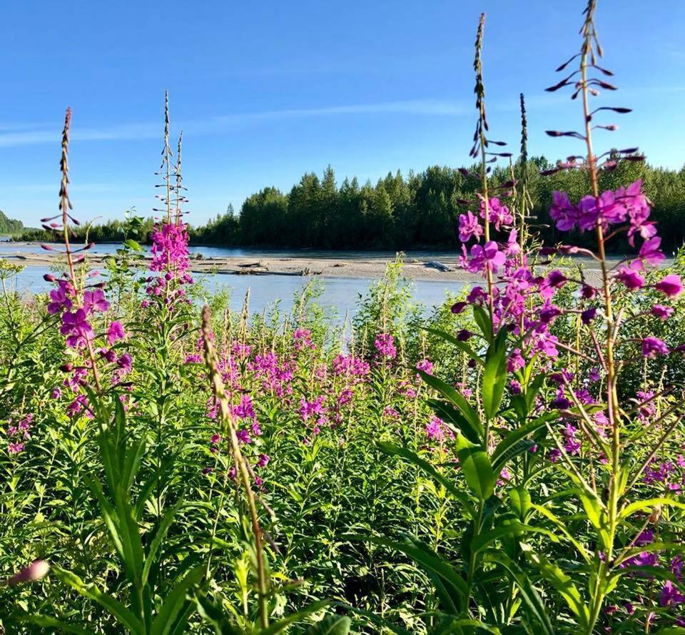 Susitna River Lodging, Lodge
